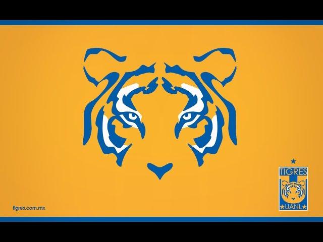 TIGRES U.A.N.L. - CAMPEÓN - APERTURA 2016 LIGA MX