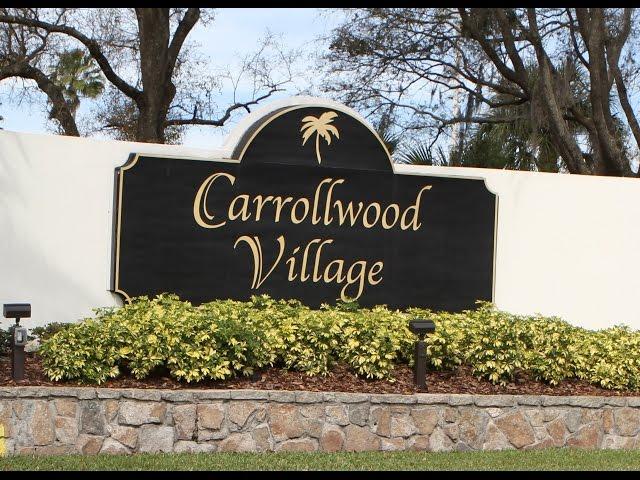 Carrollwood Village Community Tour