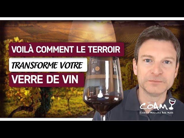 Voilà comment le LIEU influence votre verre de vin