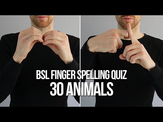 BSL Finger Spelling Quiz for Beginners: 30 Animals