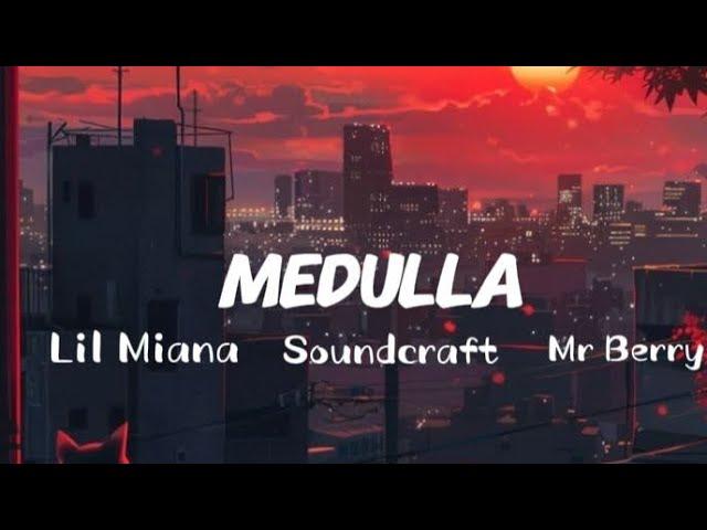 MEDULLA (Lyrics) - Lil Maina ft Soundcraft & Mr Berry LYRICS