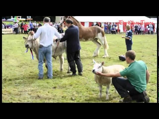 Mid Argyll Show 2011