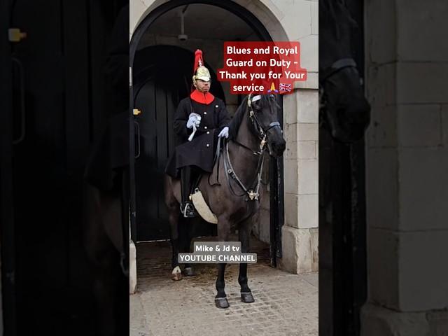 Blues and Royal Guard On Duty - thank you For your Service  #royalguard #royalhorseguard