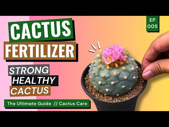 Grow Better with Fertilizer: Tips, Tricks, and Must Know! / Cactus Care Ep. 05