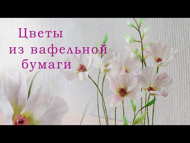 ЭФФЕКТНО и ВЫГОДНО/Wafer paper flowers/زهور من ورق الويفر