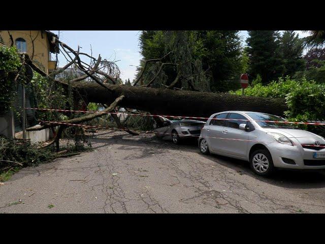 Maltempo in Lombardia, a Varese auto distrutte dopo la caduta di grossi alberi