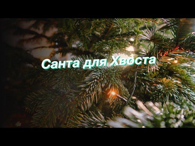 Санта для Хвоста