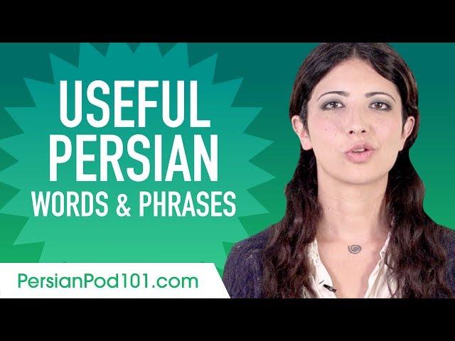 Useful Persian Words & Phrases to Speak Like a Native