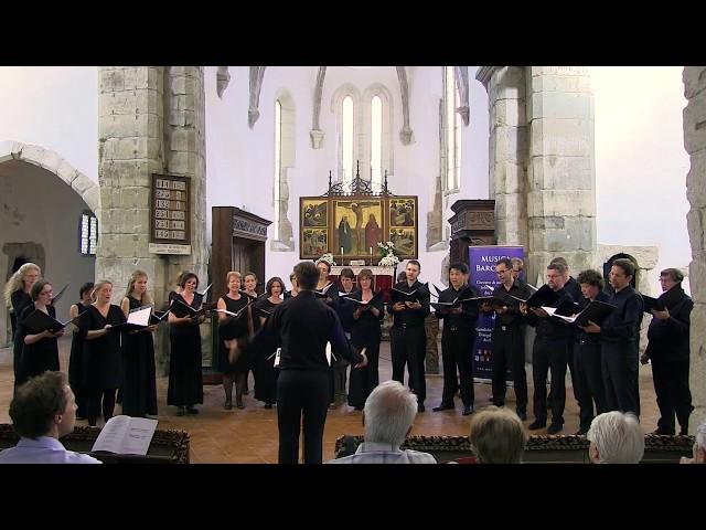 Musica Barcensis 2017 -  Vocalensemble Würzburg - Wilhelm Schmidts