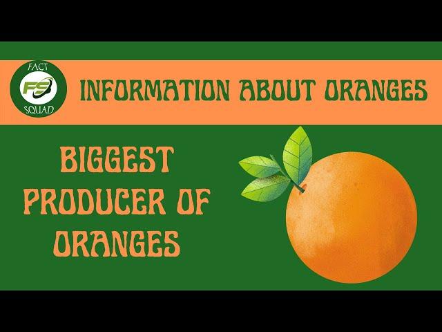 INFORMATION ABOUT ORANGES | ORANGE FRUIT FACTS | BIGGEST ORANGE PRODUCERS | ORANGE FRUIT