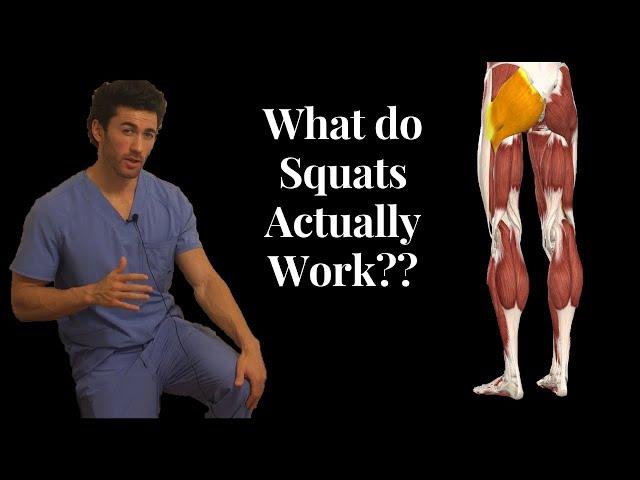 BEFORE YOU SQUAT, Understand the ANATOMY Behind it! (What Muscles Squats Actually Work)