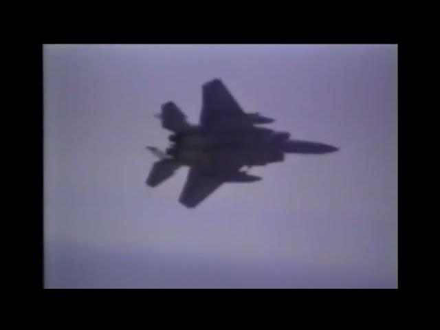 Desert Storm: Narrated by the Pilots (1991)