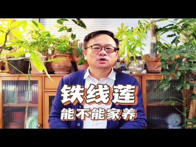 为什么家里忌讳种铁线莲？先问是不是，再问为什么