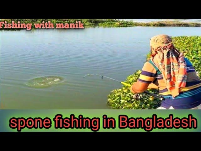 চামচ দিয়ে বোয়াল মাছ শিকার  fishing spone fishing with manik