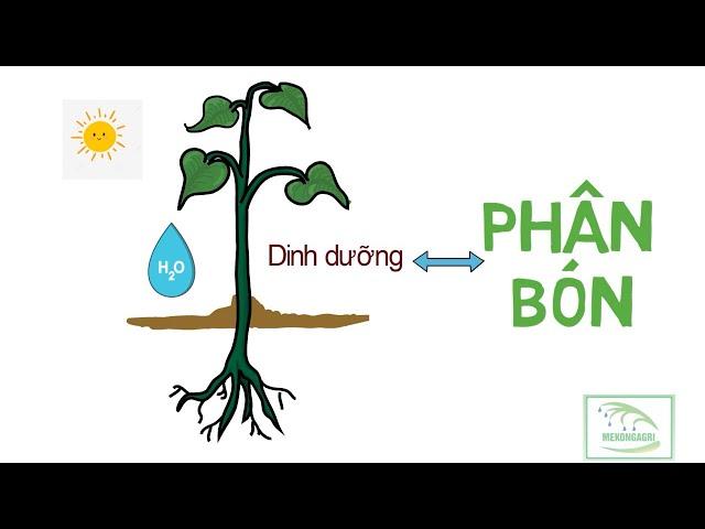 NÔNG DÂN CẦN BIẾT - KIẾN THỨC VỀ PHÂN BÓN