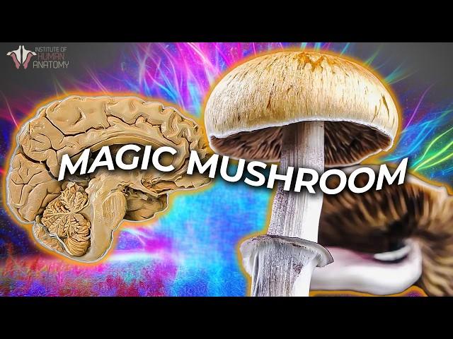 What Psilocybin Does to Your Brain | Can It Improve Mental Health?