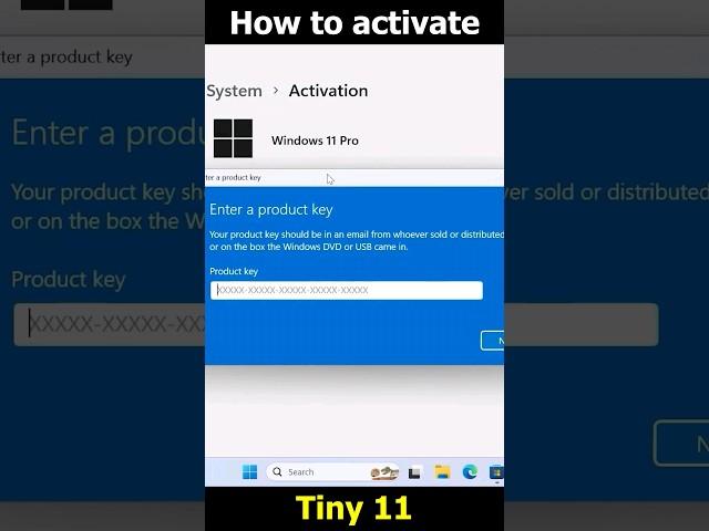 How to activate Tiny 11