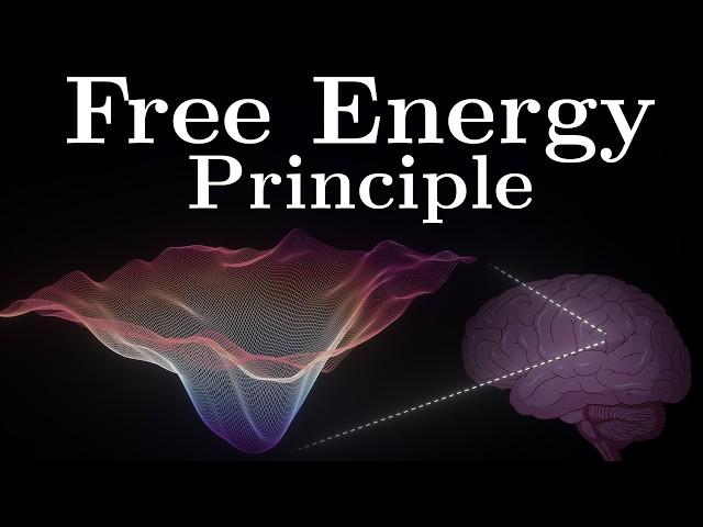 A Universal Theory of Brain Function
