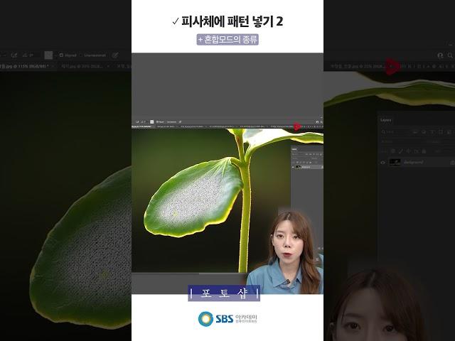 피사체에 패턴 넣기 2 | 포토샵   SBS아카데미컴퓨터아트학원