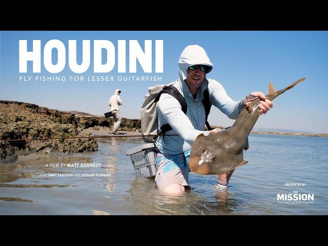 Fly Fishing for Sandsharks on South Africa's West Coast | HOUDINI