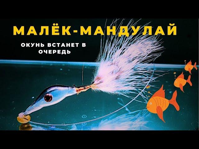 Удивительная  МИКРОМАНДУЛА окуни точно выстроятся в очередь