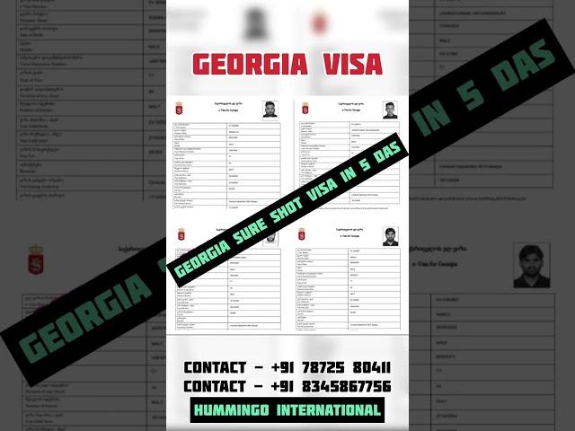 Georgia sure shot Visa in 5 working days | Europe visa in 5 days | #visa #viralvideo #shorts #job