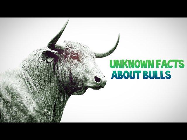 Unknown facts about Bulls |HD| 2020