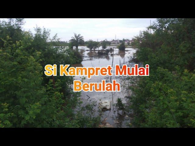 Si kampret datang berulah‼️semuanya jadi kabur | Solo Fishing Why Sumatera