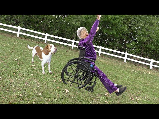 Dogs Push Old Lady Down Hill...AGAIN!