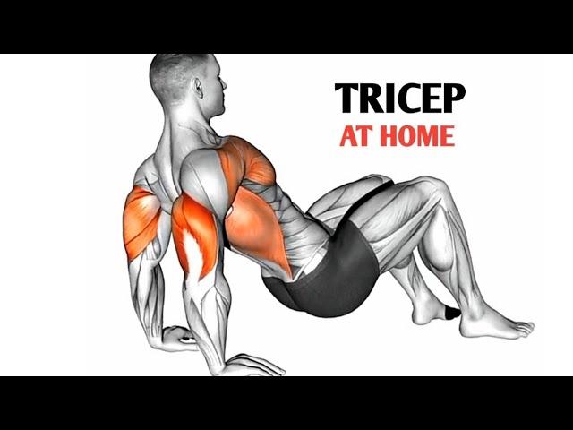 6 Bodyweight Tricep Workout | Home Workout For Triceps