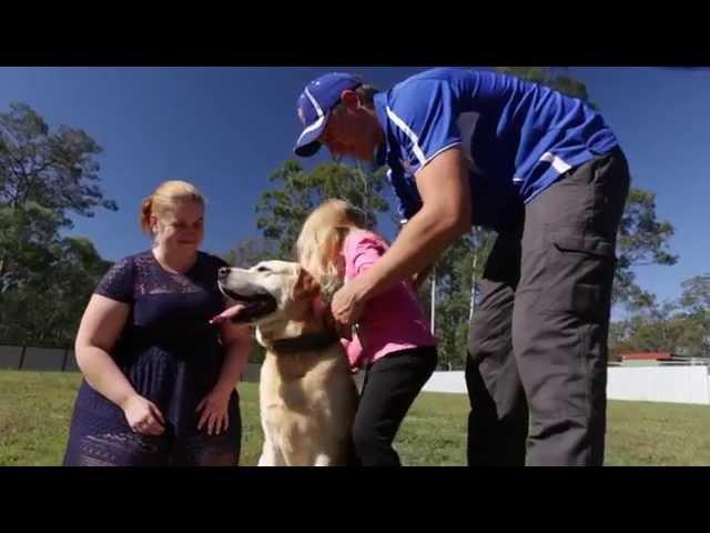 How to train your puppy and dog with Excel Dog Training - Queensland Australia
