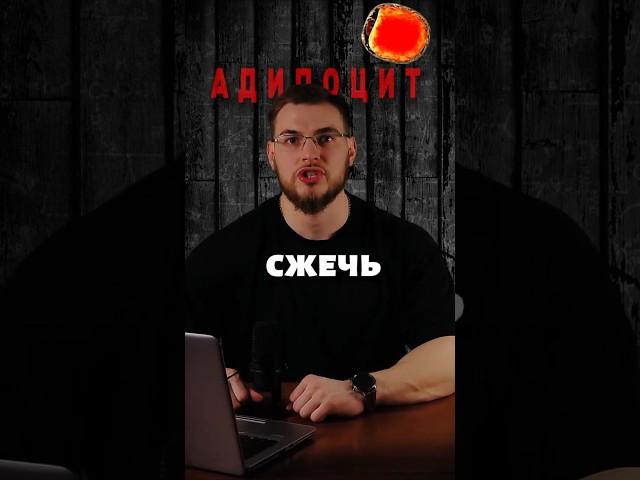 Локальное жиросжигание. Миф или правда? #shorts #fitness #sports