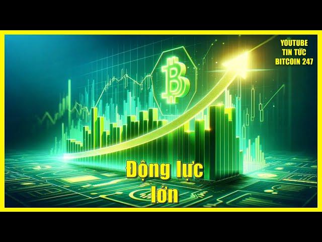 Bitcoin có động lực tăng giá mạnh, các Altcoin chứng kiến biến động lớn