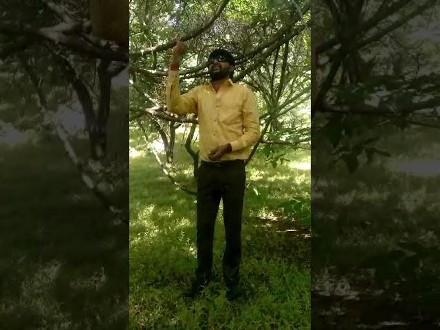 devayat khavad new video 2017