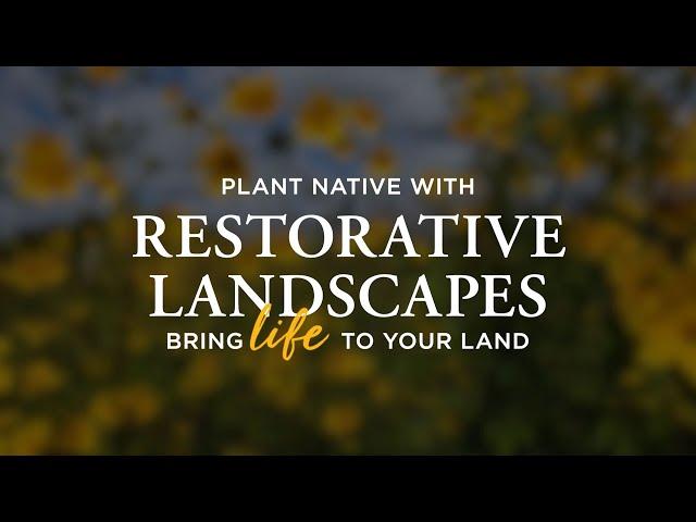 Restorative Landscapes