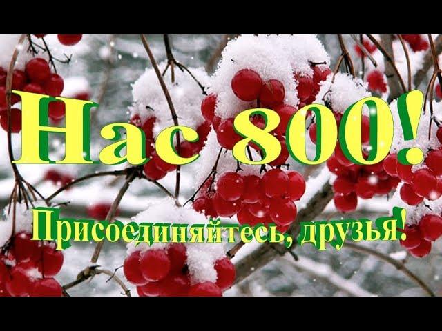 Нас 800!