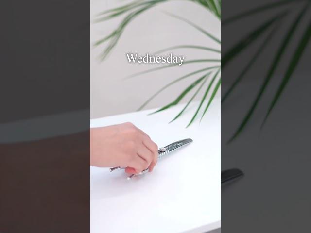 월화수목금토, 흑조가위 뭘 쓰지? #애견미용