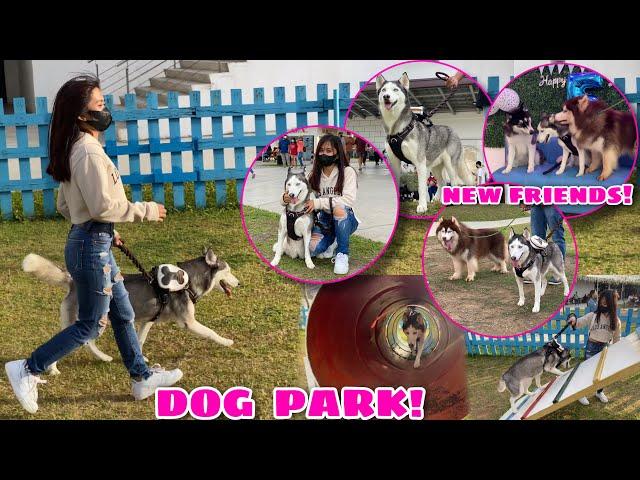 ZYBER’s DAY OUT! | Went To Outlets Lipa! | Husky Pack TV