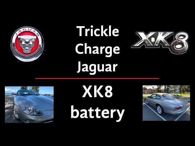 Trickle Charge Jaguar XK8 battery #shorts - Common car problems