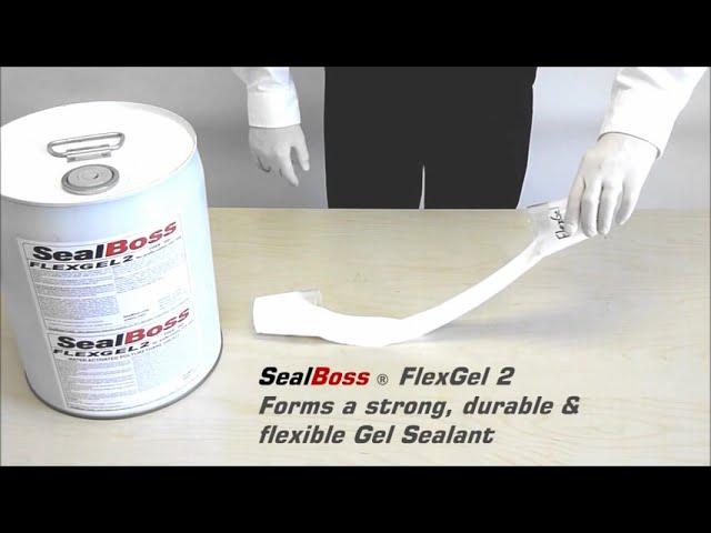 Hydrophilic Chemical Grout Injection Gel SealBoss FlexGel