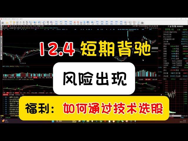 12.4 技术流如何选股？10几分钟教你从中长线，到短线无死角选股方案！选对标的躺平也可以赚钱，选错的话，跌入无底深渊~#缠论 #a股 #有家缠论 #股票技术 #投資 #金融 #a股分析 #a股市场