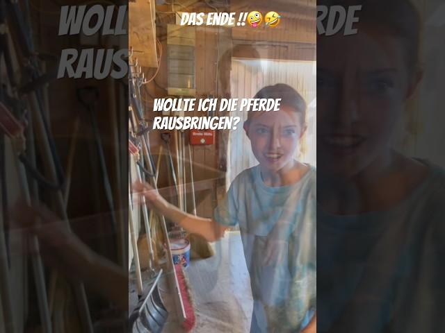 Who knows? #horse #horses #shorts #equestrian #horselove #horseknowledge #riding #bavaria