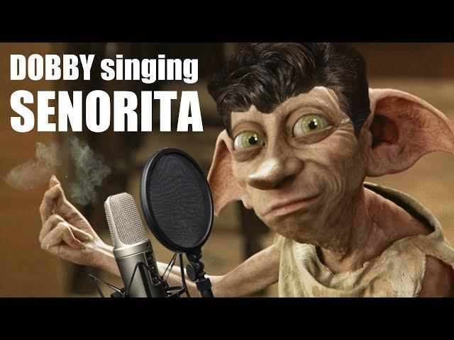 Dobby singing Señorita