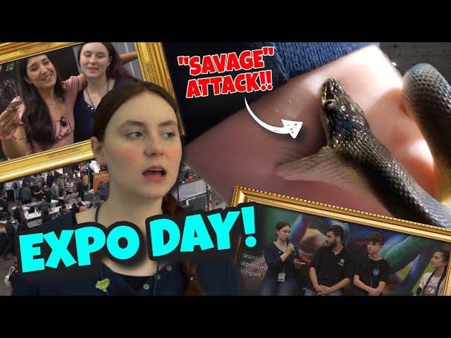 Toronto Reptile Expo - Savage Bites! Rare Lizards! Expert Panels! This One Had It ALL!!