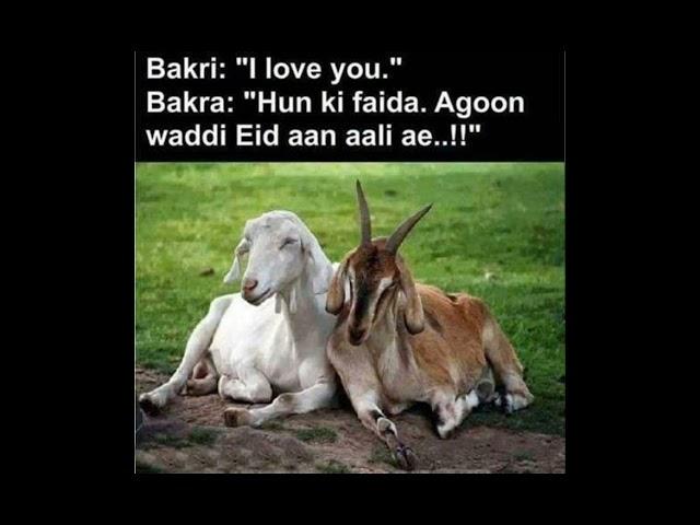 Bakra:tyar ho jao me aaraha Hoo 