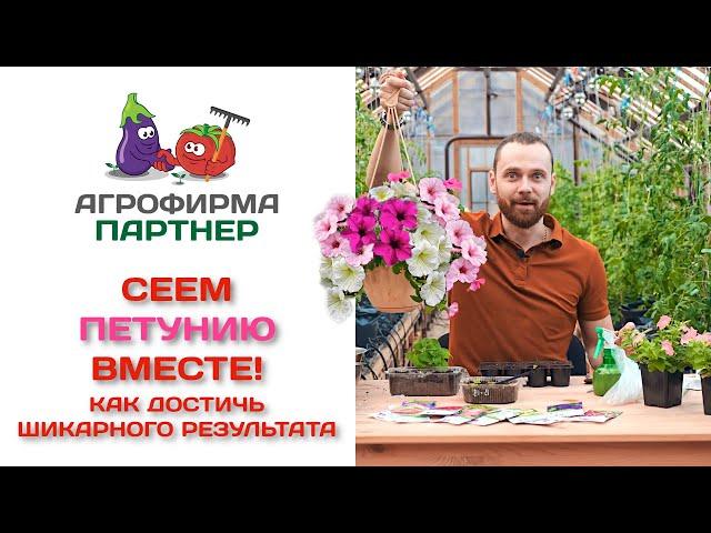 Сеем петунию вместе! Как достичь шикарного результата