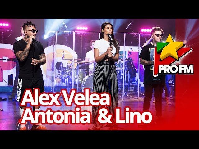 Alex Velea feat. Antonia & Lino – Sahara  | ProFM LIVE Session