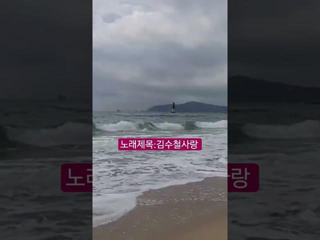 김수철사랑