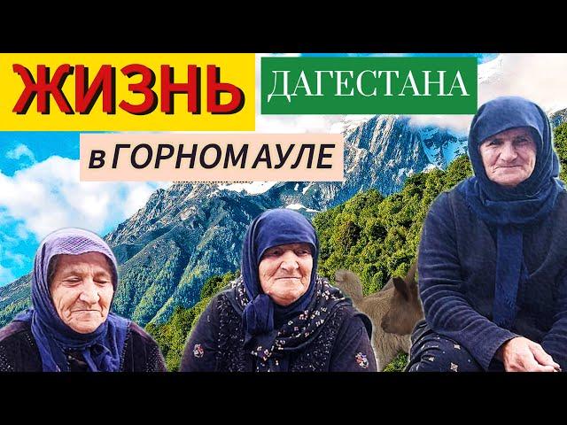 ЖИЗНЬ В ГОРНОМ АУЛЕ ДАГЕСТАНА | Деревня России в наши дни.   #тлярата #дагестан #аул #деревня