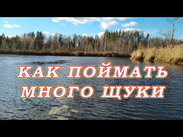 Как поймать много щуки!  ТЕХНИКА ЛОВЛИ ЩУКИ в траве!